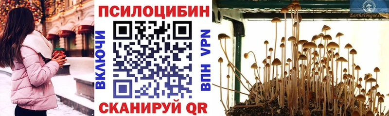 Галлюциногенные грибы Magic Shrooms  что такое   блэк спрут как зайти  Сургут 