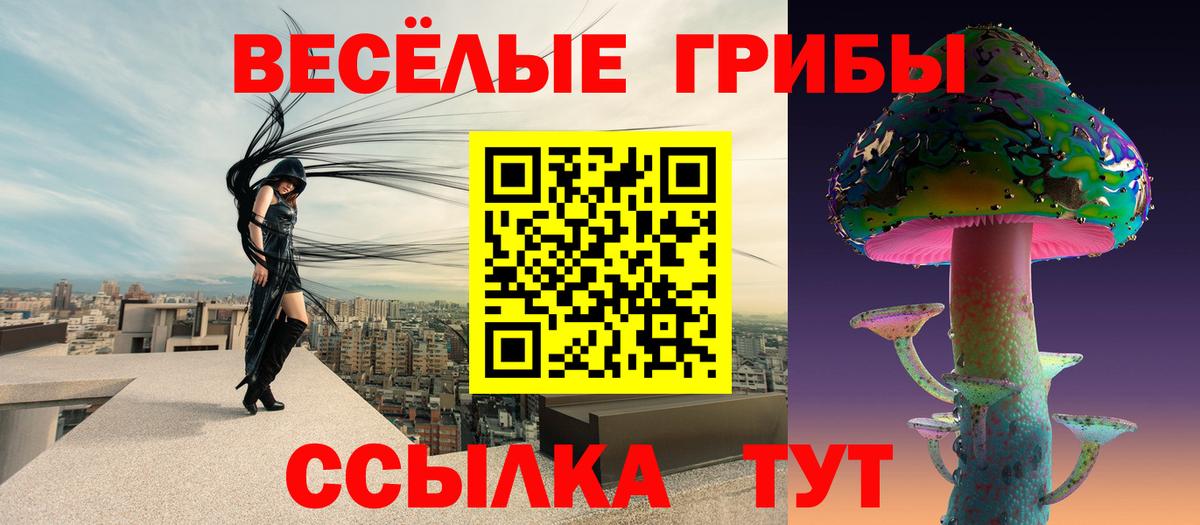 Псилоцибиновые грибы прущие грибы Сургут